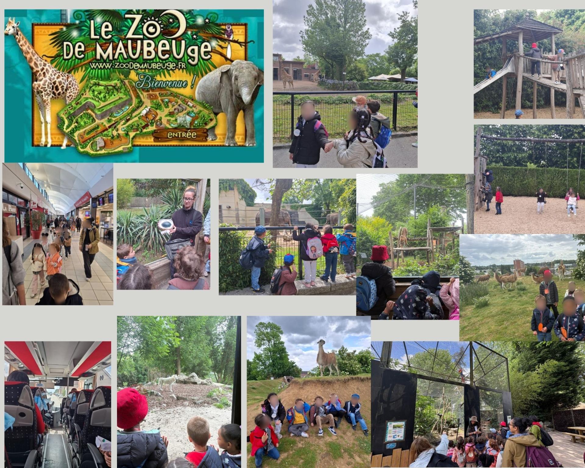 Zoo maubeuge msgs